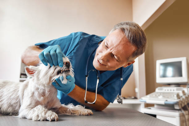 Best Emergency Tooth Extraction in Oakland Park, FL